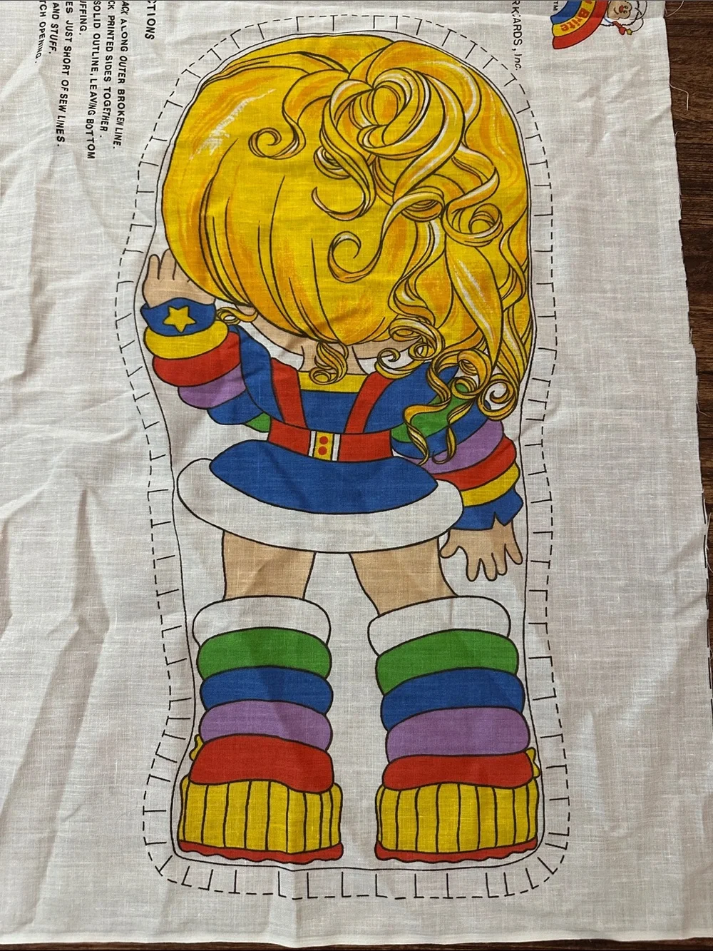 Rainbow Brite Doll Sewing Panel Retro Vintage Pillow